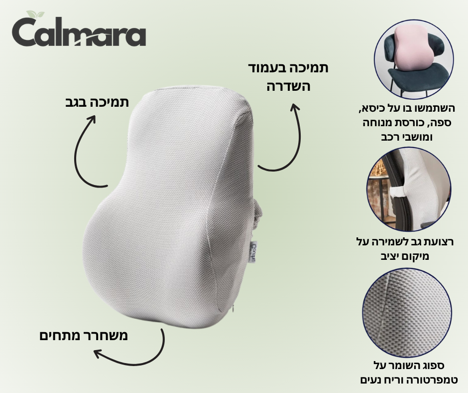 אורטוגב - כרית תמיכה גב אורטופדית