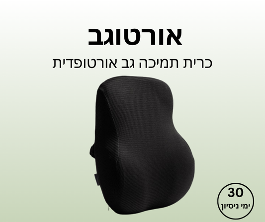 אורטוגב - כרית תמיכה גב אורטופדית