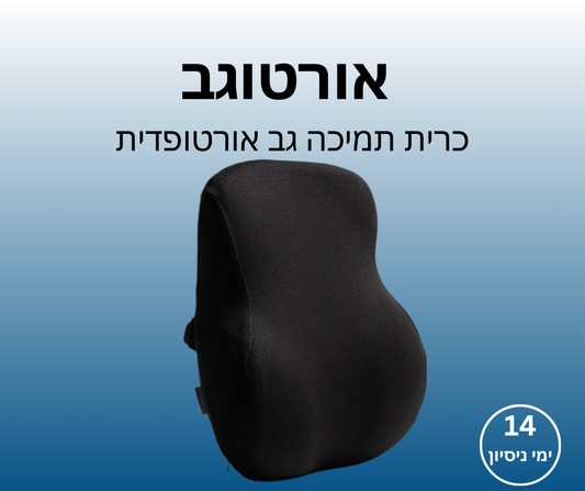 אורטוגב - כרית תמיכה גב אורטופדית
